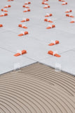Raimondi levelling system 